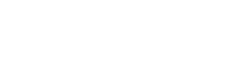 TheSafe logo